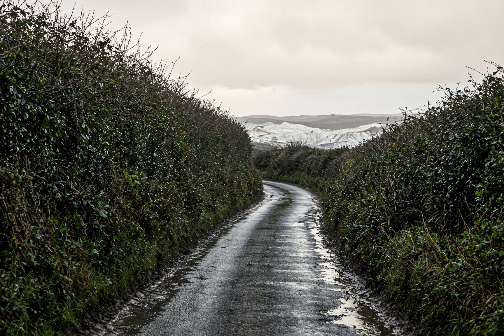 A wet lane between high Cornish hedges, with white china-clay tips in the distance